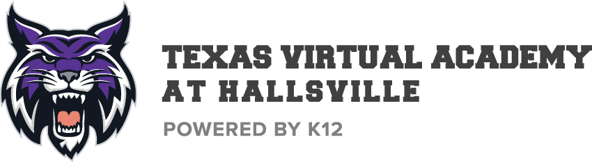 Virtuelle Akademie Texas Hallsville